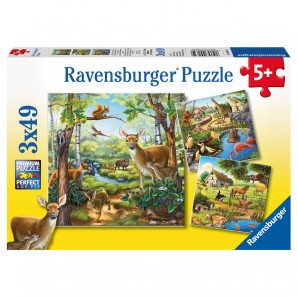 Puzzle Wald-,Zoo-,Haustiere 3x49 Teile,