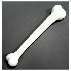 Knochen, 35 cm 