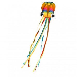 Drachen Rainbow Octopus 70x410 cm
