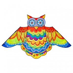Drachen Jazzy Owl Kite 145x85 cm