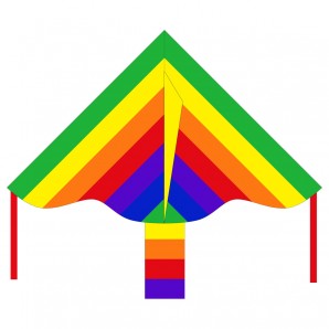 Drachen Simple Flyer Rainbow 85x42 cm,